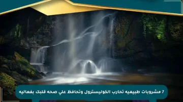 7 مشروبات طبيعية تحارب الكوليسترول وتحافظ على صحة قلبك بفعالية